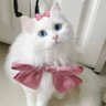 คนงามเพราะตังค์ 😻 的头像