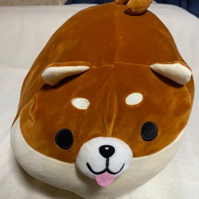 shiba_box1109's profile picture