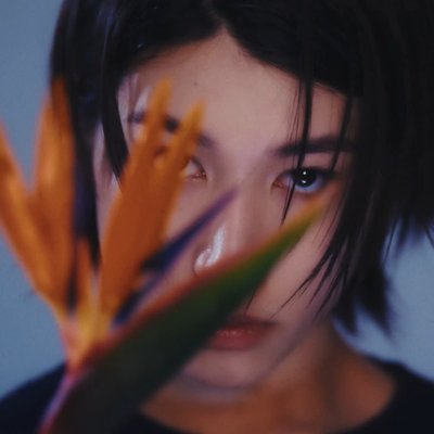 tentanglouis's profile picture