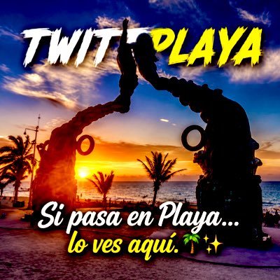 #PlayaDelCarmen 🌊's profile picture