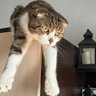 Arturio profil fotoğrafı