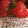 Profilbild von 🍓