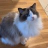 Фото профиля momo