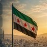 H 🇸🇾's profile picture