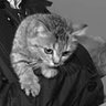 htkksg's profile picture