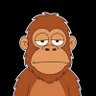 An Qu's profile picture