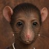 Profilbild von MANDLENKOSI HLATSHWAYO
