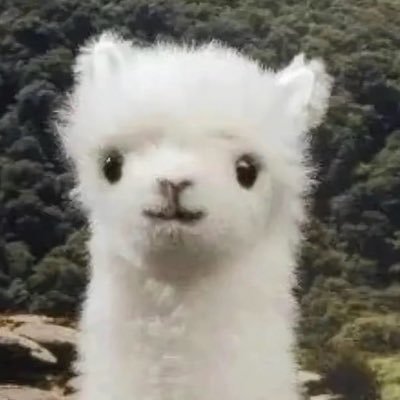 potenage_ow's profile picture
