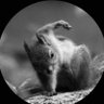 入浴5分前 profil fotoğrafı