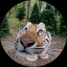 Chidera M. profil fotoğrafı