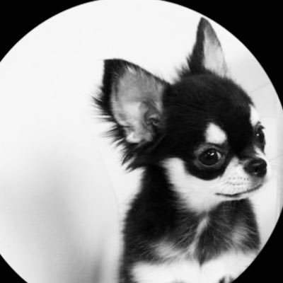 coCoco69494006's profile picture