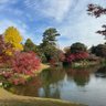 Guritogura profil fotoğrafı