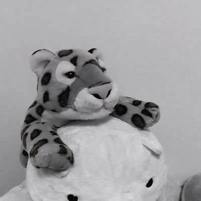 ちゃこ's profile picture