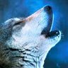 Tingis's profile picture
