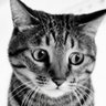Profilbild von h.
