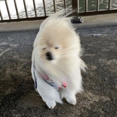 복달's profile picture
