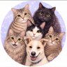 ☆ふぅ☆ profil fotoğrafı