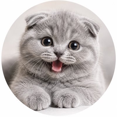 oossiihh's profile picture