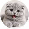 มะเหมี๊ยว profil fotoğrafı