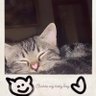 SoShineHiKim's profile picture