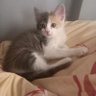 Mohame 123 profil fotoğrafı