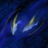 Profilbild von SIRIUS