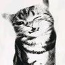 badder's profile picture