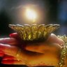 Aashufta Farhang's profile picture