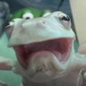 Opispolos's profile picture