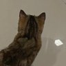 daxmpc profil fotoğrafı