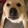 Yy___yY profil fotoğrafı