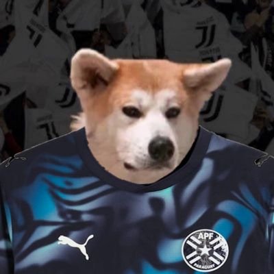 Jjuli🦅's profile picture