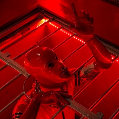🎃🦴Umbra The CyberPup 🦴🎃's profile picture