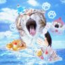 ⒶⓎⒶⓀⓄ@世界一進宝ﾁｬﾝが好き🐈💖 profil fotoğrafı