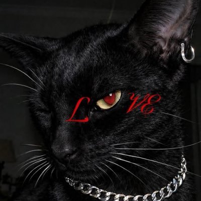 xVesperax's profile picture