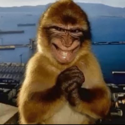 Z's profile picture