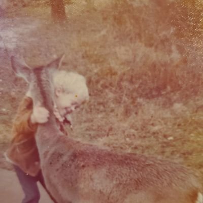🐸 Remy2cents's profile picture