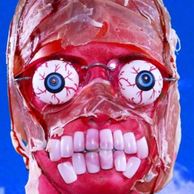 SARAH SQUIRM's profile picture