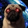 Profilbild von Wiš'adel’s PUG