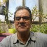 Mohamed El Fersioui's profile picture
