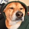 Profilbild von Paulbunchofnumbers