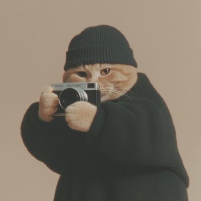 :𝗣𝗦𝗜𝗔.𝗘𝗟ツ 🐶🐰( รักอิงล็อต )🏳️‍🌈's profile picture