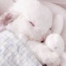 Rabbitouo_zzZ profil fotoğrafı