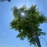 Anshen's profile picture