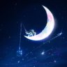 space seal🦭's profile picture