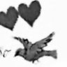souffle's profile picture