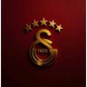 Ultraaslan Nederland's profile picture