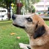 Rajvardhan's profile picture
