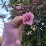 Rola 𓂆 🇵🇸's profile picture
