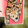 ashton (coms open)'s profile picture